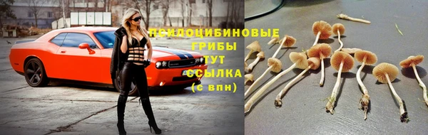 mdpv Володарск