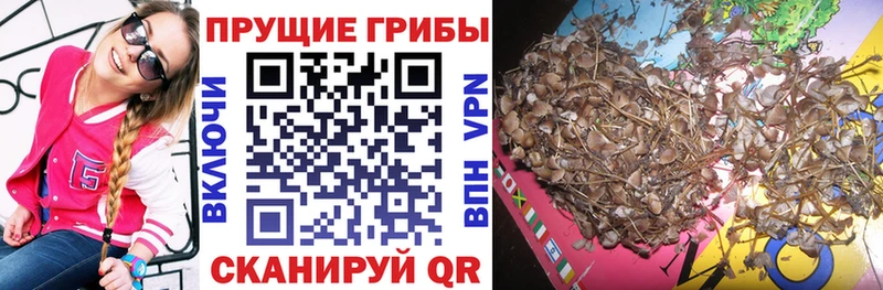 Галлюциногенные грибы GOLDEN TEACHER наркотики дарк нет Telegram Невинномысск